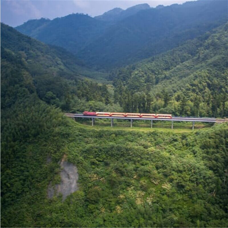 台湾の素晴らしい106歳の山岳鉄道